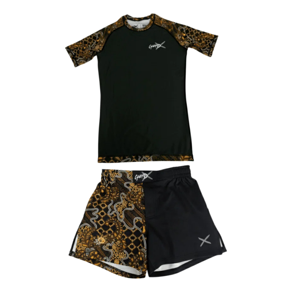 Premium BJJ & MMA Gear Inferno - Rash Guard 评论和价格